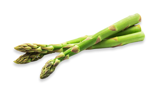 asperges vertes